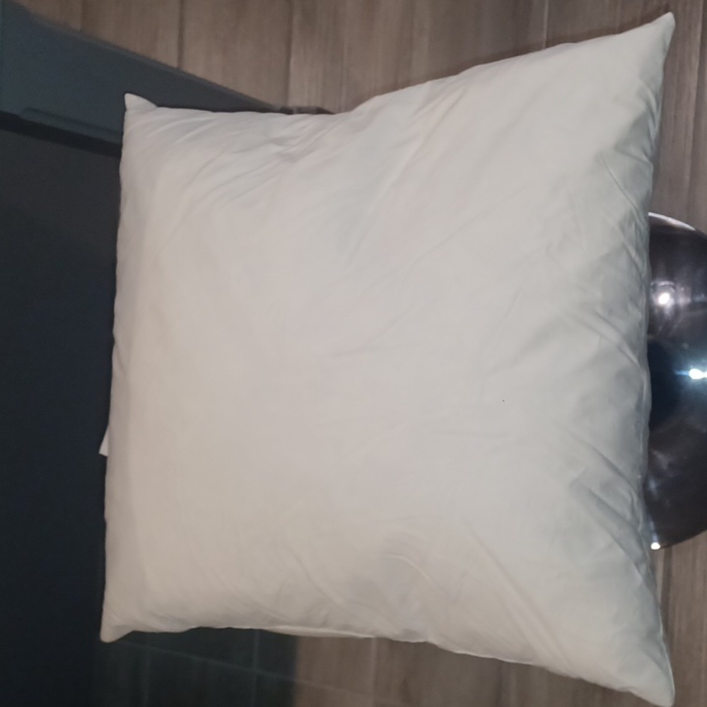 Ikea Fjädrar 20" x 20" pillow insert offwhite (4-total)